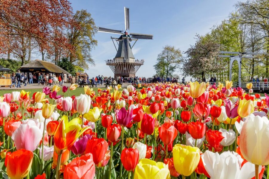 From Amsterdam: Keukenhof and Dutch Countryside Tour - Marken’s clog-making workshop