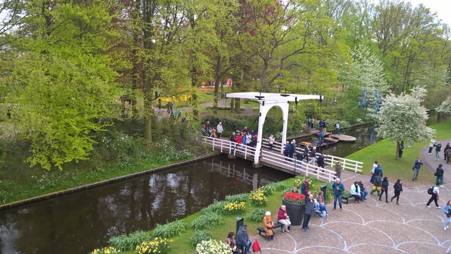 From Amsterdam: Keukenhof and Zaanse Schans Small Group Tour - The one-hour transfer to Zaanse Schans