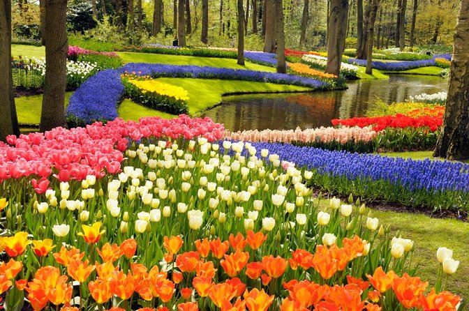 From Amsterdam: Keukenhof Gardens Ticket and Transfer - Key points before you book