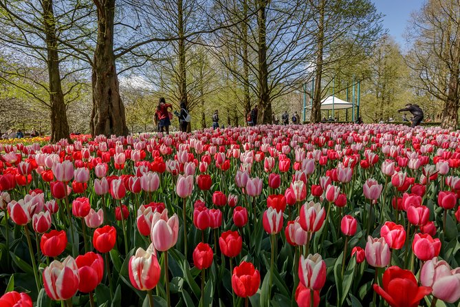 From Amsterdam: Keukenhof Gardens Ticket and Transfer - Optional audio guide and canal cruise