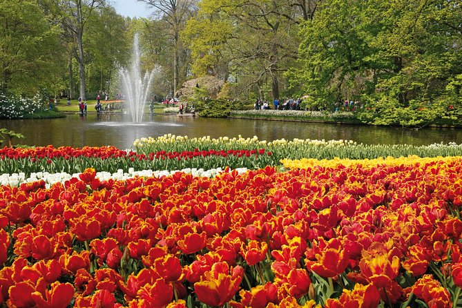 From Amsterdam: Keukenhof Gardens Ticket and Transfer - Is $41.51 good value?