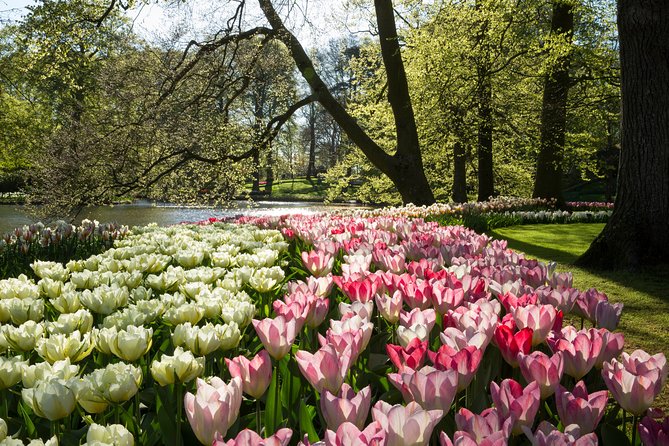 From Amsterdam: Keukenhof Gardens Ticket and Transfer - Who should book this experience?
