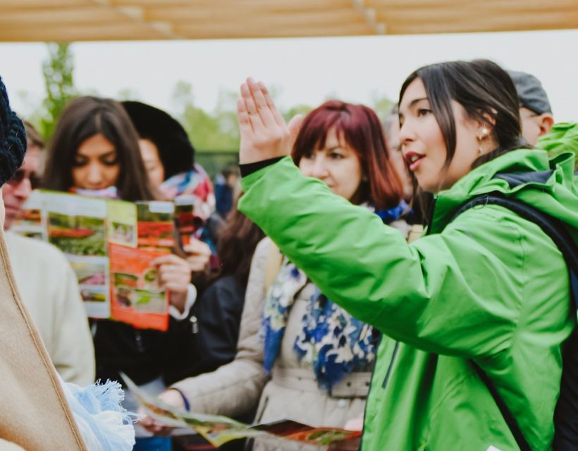 From Amsterdam: Rotterdam and The Hague Tour in Spanish - Why this day trip works from Amsterdam