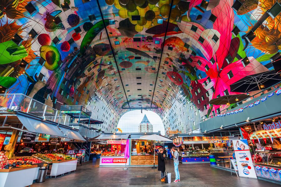 From Amsterdam: Rotterdam, The Hague & Delft Private Tour - Transport, timing, and practical limits