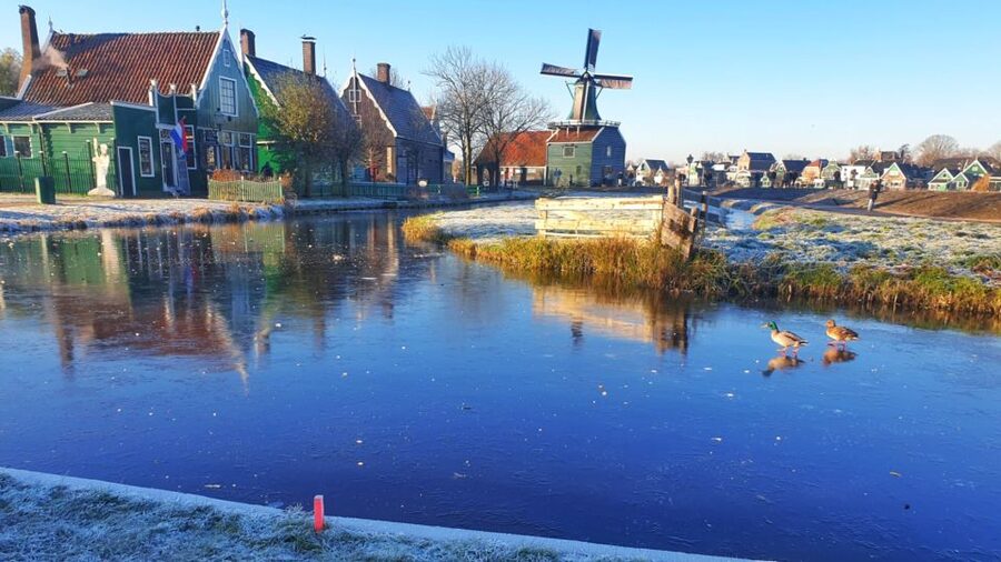From Amsterdam: Small Group Zaanse Schans and Volendam Tour - Is $135 a fair price?