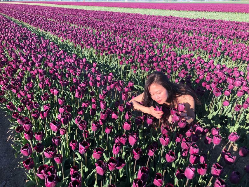 From Amsterdam: Tulip Tour Keukenhof & City Tour Delft - Should you book it?