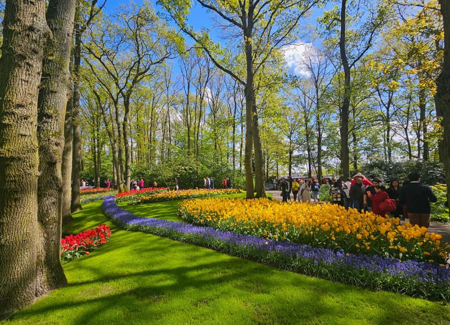 From Amsterdam: Tulip Tour Keukenhof & City Tour Delft - Who will enjoy this day most?