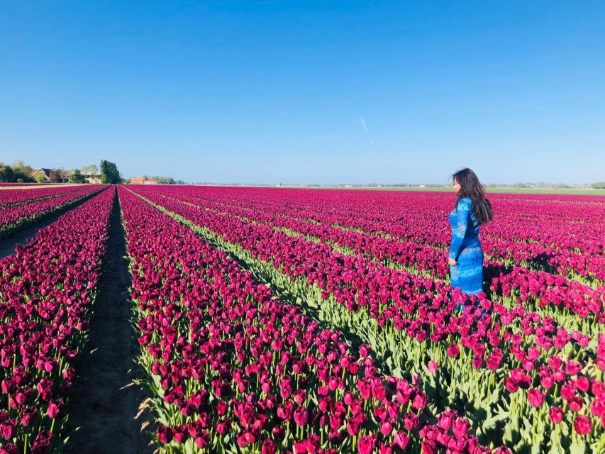 From Amsterdam: Tulip Tour Keukenhof & City Tour Delft - What two hours of free time really gives you