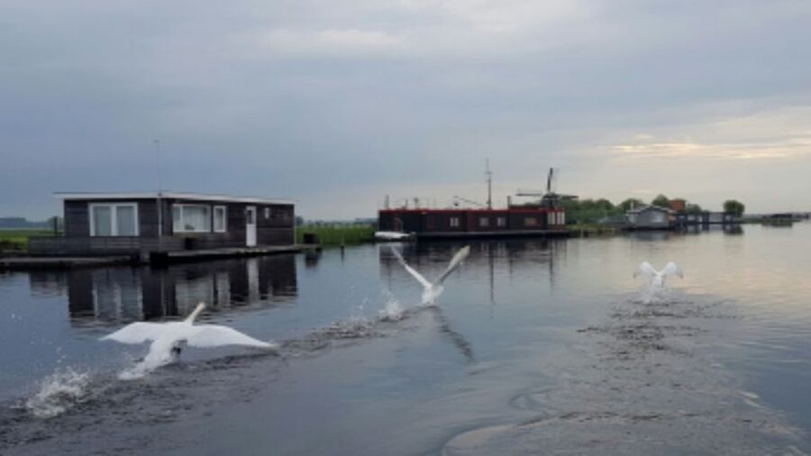 From Katwijk: Kaag Lakes Cruise - The windmills are more than pretty scenery