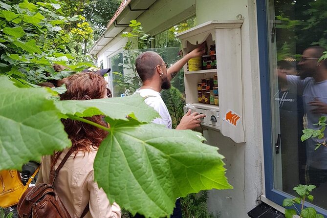 Full-Day Private Guided Countryside Tour from Amsterdam by Bike - Dutch gardens on the route back