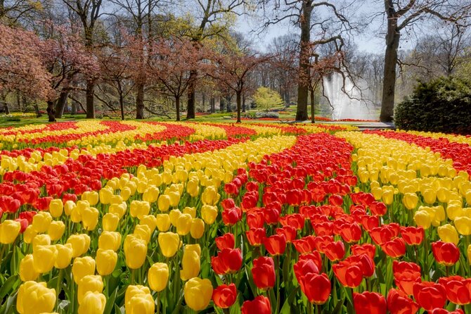 Full-Day Skip the Line Keukenhof and Canal Cruise from Amsterdam - The one-hour Amsterdam canal cruise