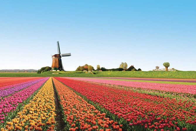 Full-Day Skip the Line Keukenhof and Canal Cruise from Amsterdam - Meeting at This is Holland in Amsterdam