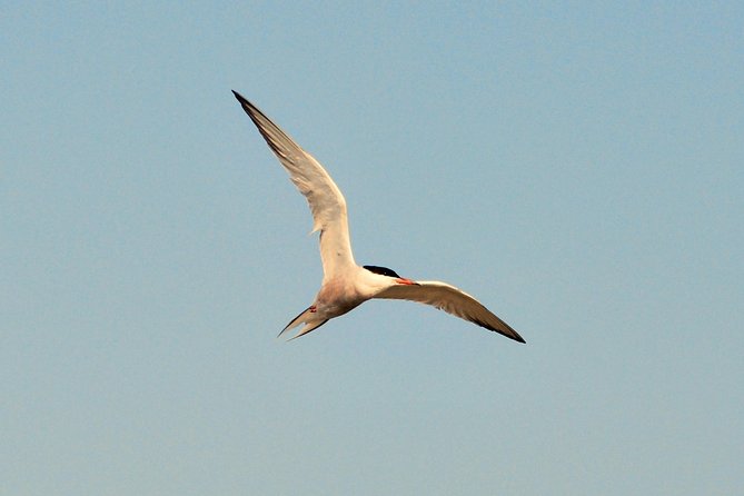 Full day tour to Texel - Friesian Islands - from Amsterdam - The 8:00 am start and journey north