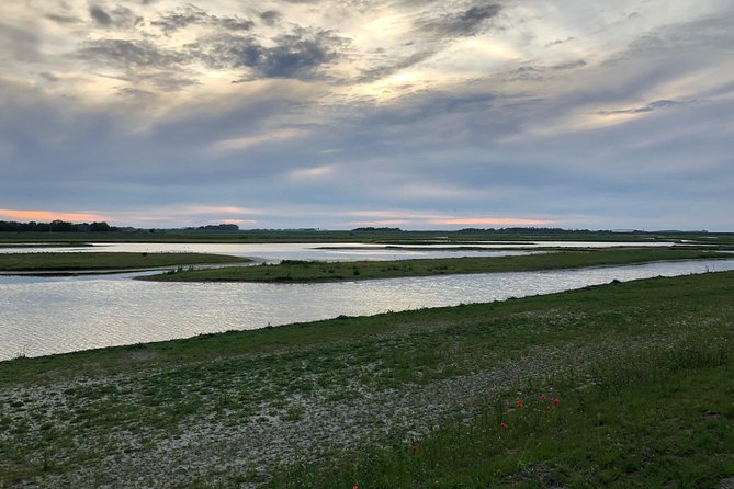 Full day tour to Texel - Friesian Islands - from Amsterdam - Tides, seabirds, and the optional seal safari