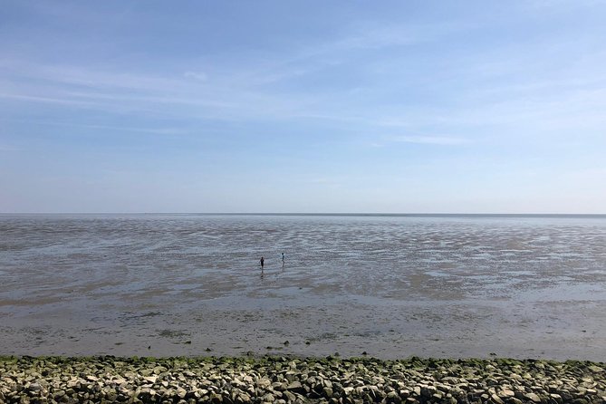 Full day tour to Texel - Friesian Islands - from Amsterdam - Who will enjoy this day most