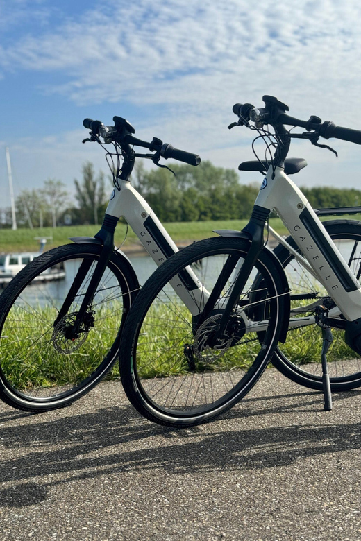 Goes: Full-Day E-Bike Rental - Veere and Veerse Meer