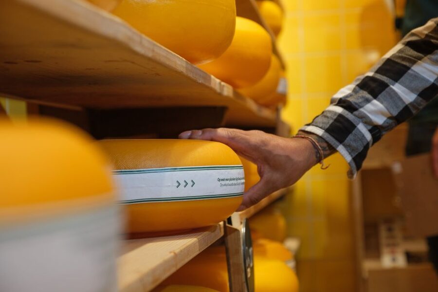 Gouda: Gouda Cheese Experience Entry Ticket - Who will enjoy this most?