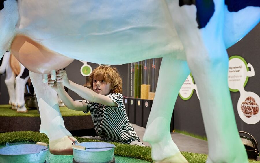 Gouda: Gouda Cheese Experience Entry Ticket - The Cheese Master quiz