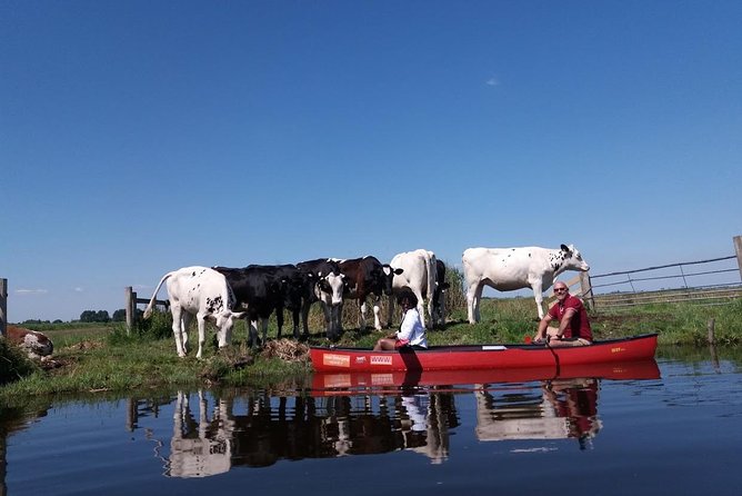 Guided Canoe Adventure with Picnic Lunch in Waterland from Amsterdam - What the $112.84 price gets you