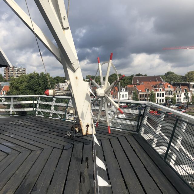 Haarlem: Windmill 'De Adriaan' Guided Tour - Should You Book De Adriaan?