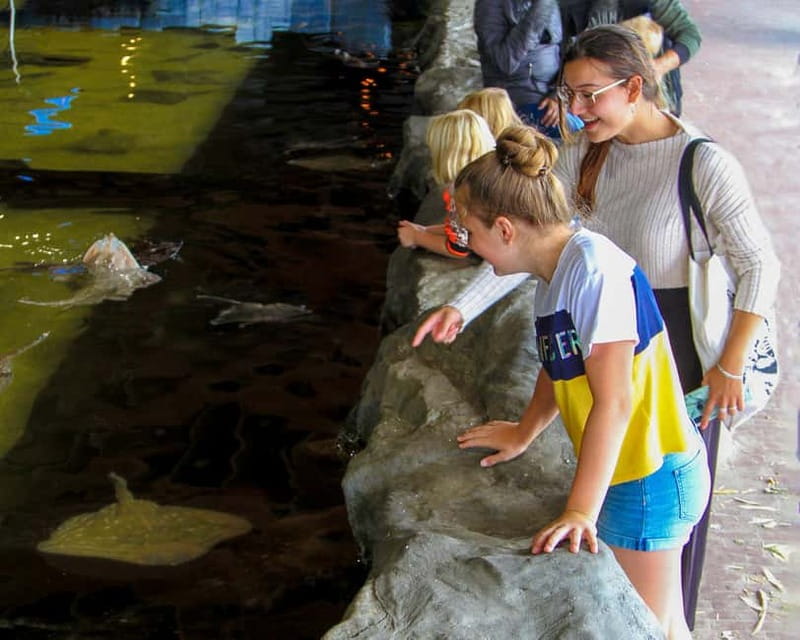 Harderwijk: Dolfinarium Entry Ticket - Parking, timing, and cancellation flexibility