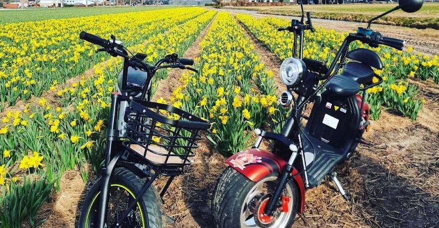 Hillegom: E-Scooter or E-Bike Rental in the Bulb Region - Key points before you book