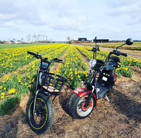 Hillegom: E-Scooter or E-Bike Rental in the Bulb Region - Why Hillegom is a smart starting point for the tulip fields