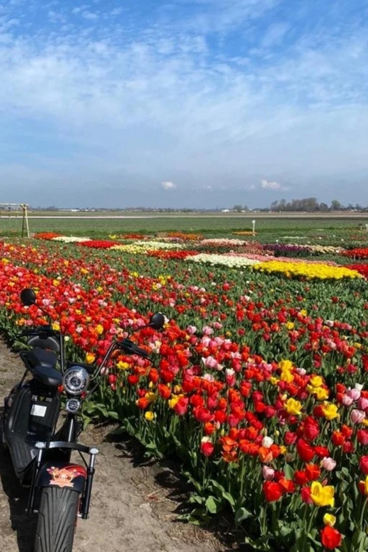 Hillegom: E-Scooter or E-Bike Rental in the Bulb Region - Picking the right vehicle for your group