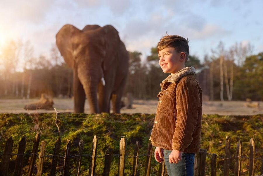 Hilvarenbeek: Safaripark Beekse Bergen Entry Ticket - The walking safari gives you the closest look