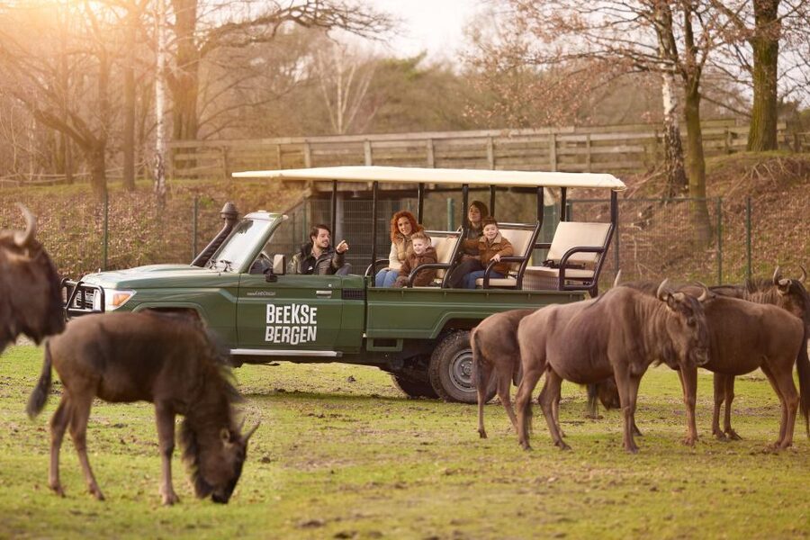 Hilvarenbeek: Safaripark Beekse Bergen Entry Ticket - How I would plan the day