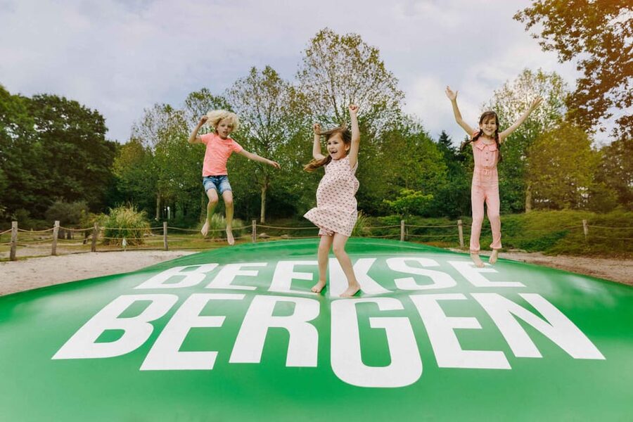 Hilvarenbeek: Speelland Beekse Bergen Entrance Ticket - Adventure island and the extra-cost minicars