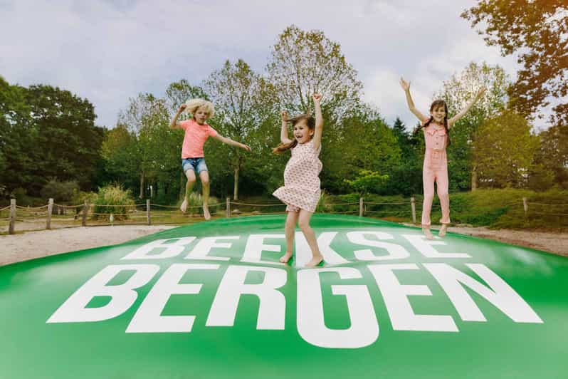 Hilvarenbeek: Speelland Beekse Bergen Entrance Ticket - What the $14 ticket really covers
