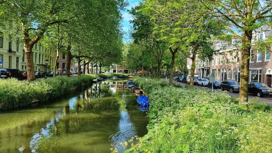 Historical Utrecht: Private Walking Tour with a Local Guide - Starting beneath the Dom Tower