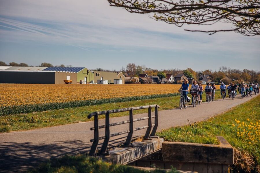 Keukenhof: Flower Fields Small-Group Cultural Bike Tour - Key points at a glance