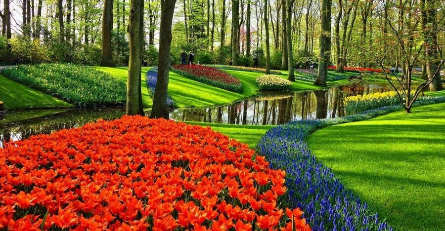 Keukenhof Gardens and Tulip Experience Tour from Amsterdam - Why this tour works better than a simple garden visit