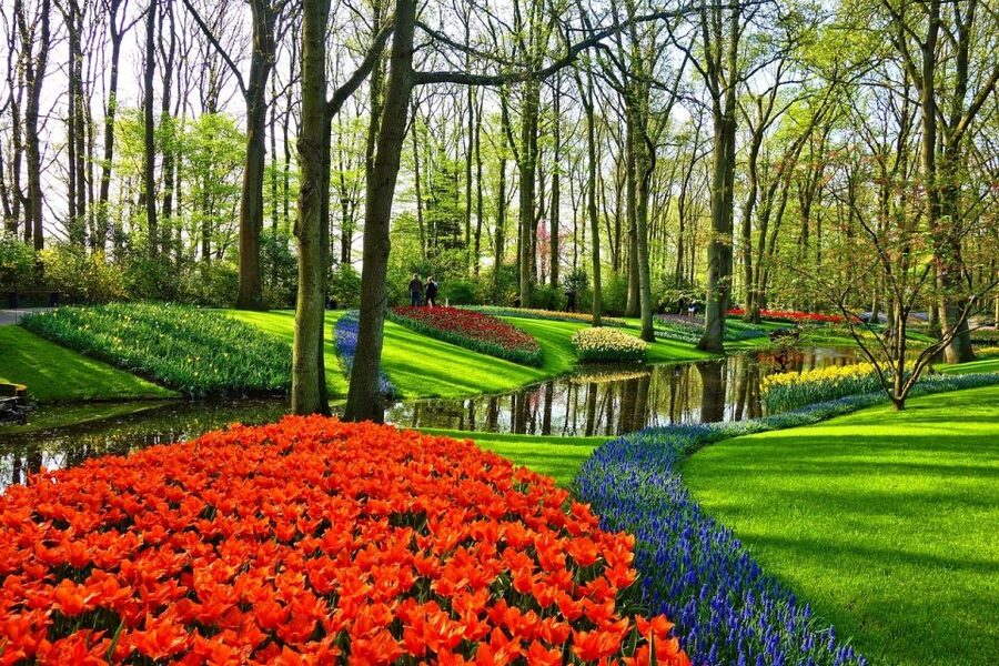 Keukenhof Gardens and Tulip Experience Tour from Amsterdam - Should you book it?