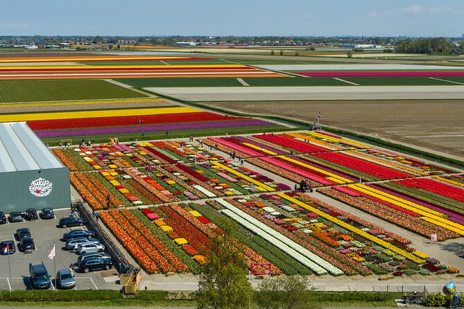 Keukenhof Gardens and Tulips Private Tour from Amsterdam - Key points to know
