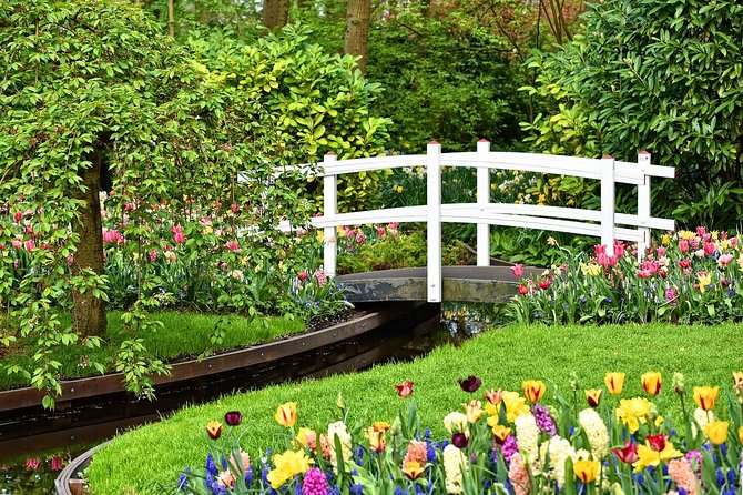 Keukenhof Gardens and Tulips Private Tour from Amsterdam - A private route from Amsterdam to the flower fields