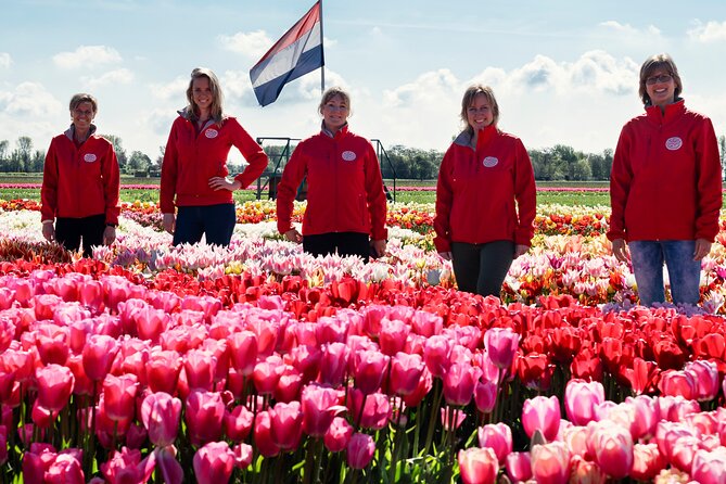 Keukenhof Gardens and Tulips Private Tour from Amsterdam - What the private Mercedes ride adds