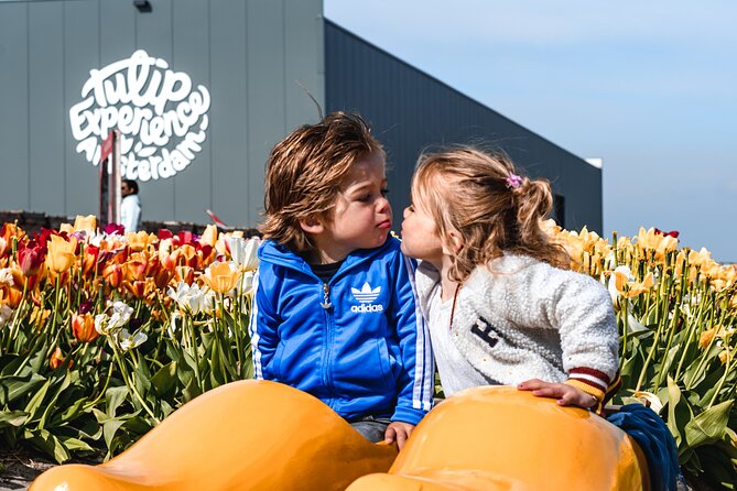 Keukenhof Gardens and Tulips Private Tour from Amsterdam - Is $383.44 per person fair?