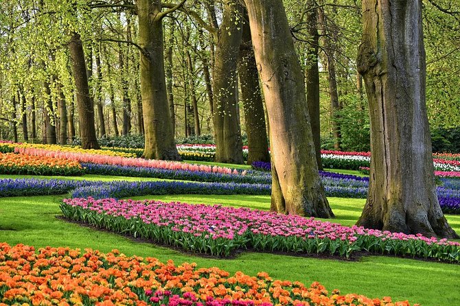 Keukenhof Gardens and Tulips Private Tour from Amsterdam - Keukenhof: two and a half hours among millions of bulbs