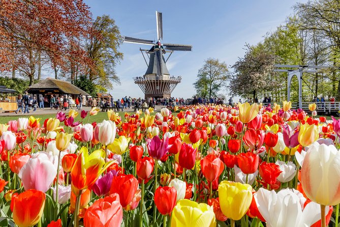 Keukenhof Gardens & Tulip Experience Tour from Amsterdam - Two very different ways to see Dutch tulips