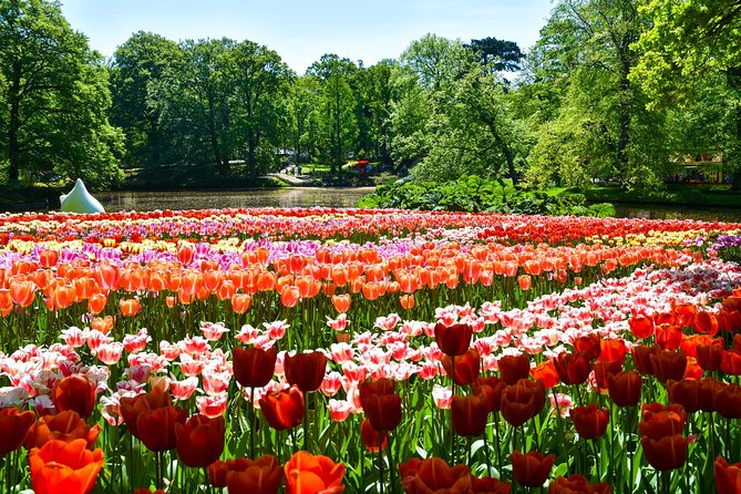 Keukenhof Gardens & Tulip Experience Tour from Amsterdam - Keukenhof gives you 32 hectares of flowers