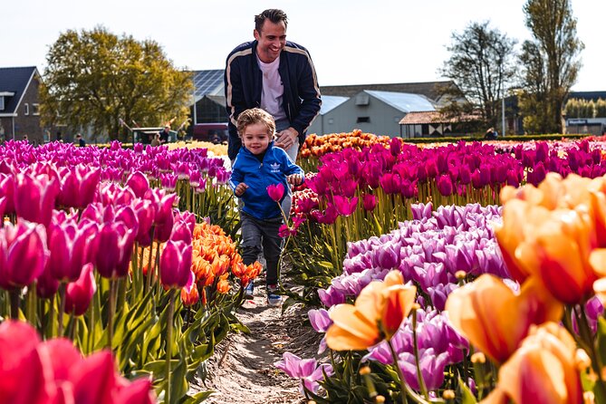 Keukenhof Gardens & Tulip Experience Tour from Amsterdam - The Tulip Experience, from museum to show garden