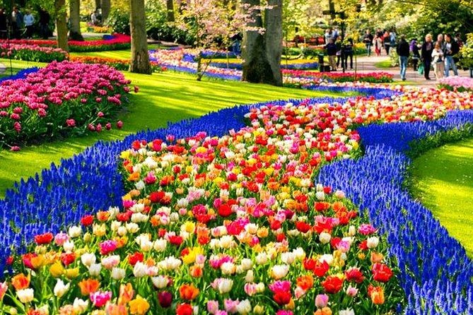 Keukenhof Skip-the-line Tickets: Countryside & Farm Private Tour - Key points to know before you book
