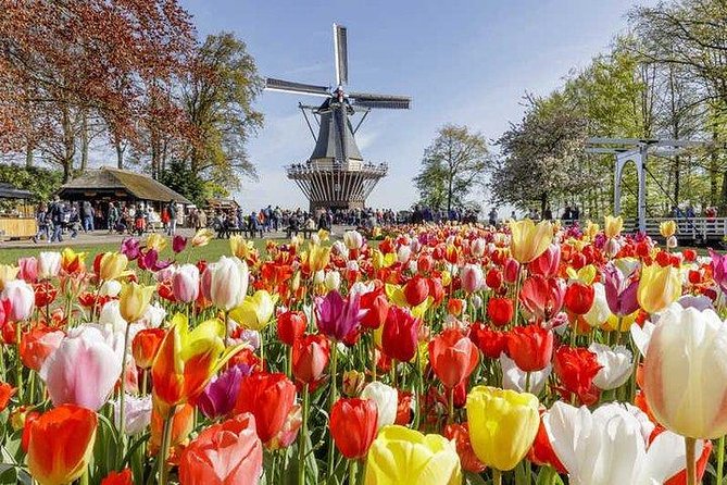 Keukenhof Skip-the-line Tickets: Countryside & Farm Private Tour - Zaanse Schans and its famous windmills