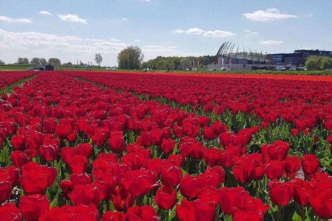 Keukenhof Skip-the-line Tickets: Countryside & Farm Private Tour - What the $548.47 price really buys