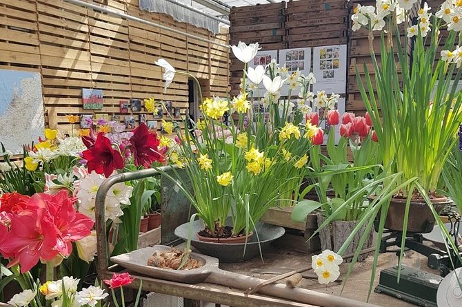 Keukenhof Skip-the-line Tickets: Countryside & Farm Private Tour - Lisse and the flower fields