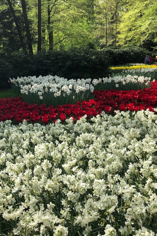 Keukenhof, Tulip Farm, Flower Fields & Windmills - Key points at a glance
