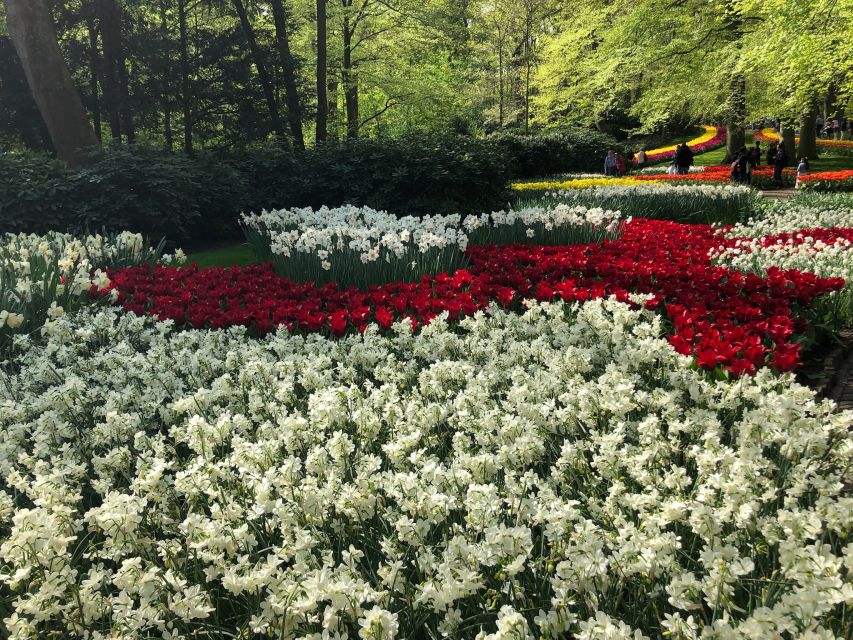 Keukenhof, Tulip Farm, Flower Fields & Windmills - A full Dutch day from Amsterdam